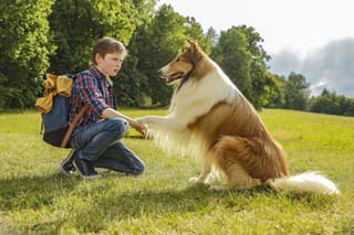 Lassie sa vracia do
