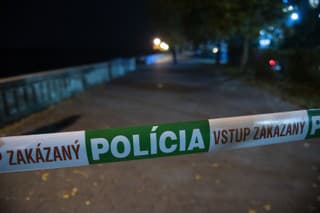 Vrah zo Zámockej zabil