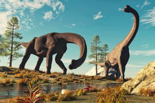 Dinosaury, žraloky či jazda
