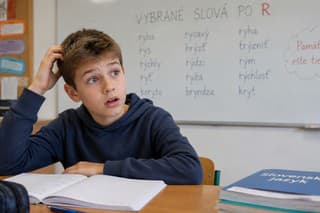 Žiak na hodine slovenského