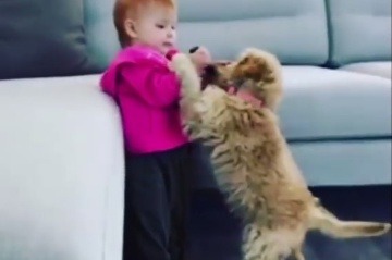 Keď drobček ľúbi psíka