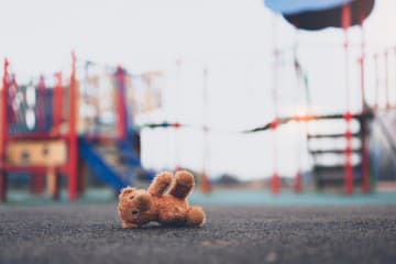 Lost teddy bear toy Lost teddy bear toy