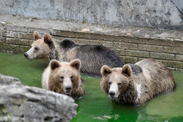 Bratislavská ZOO opäť OTVÁRA Bratislavská ZOO opäť OTVÁRA