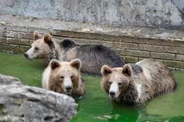Bratislavská ZOO opäť OTVÁRA Bratislavská ZOO opäť OTVÁRA