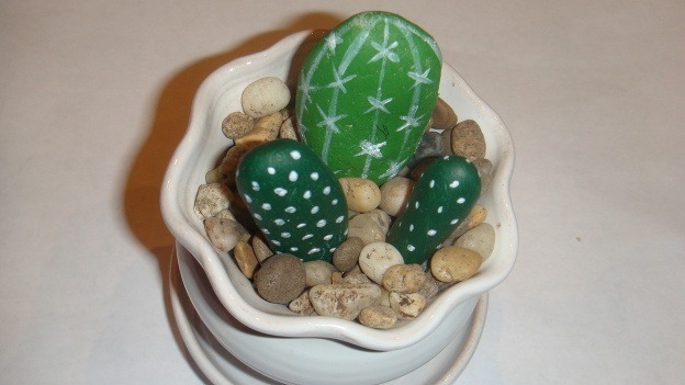 Kaktusy z kameňov zvládne
