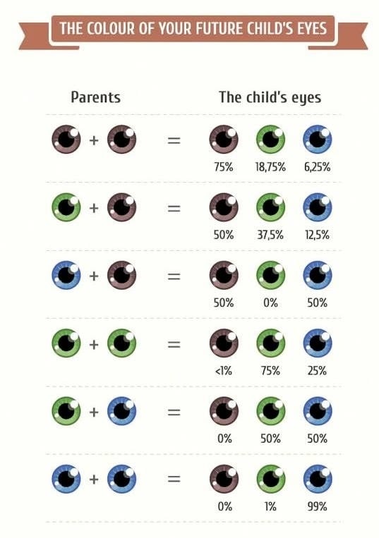 Akú farbu očí budú