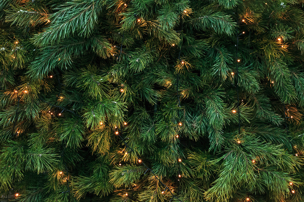 Vianočný stromček: Toto všetko