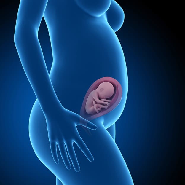 Najdôležitejšie míľniky v tehotenstve: