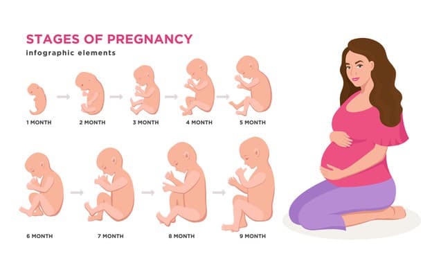 Najdôležitejšie míľniky v tehotenstve: