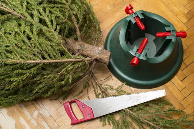 Ako nezabiť vianočný stromček: