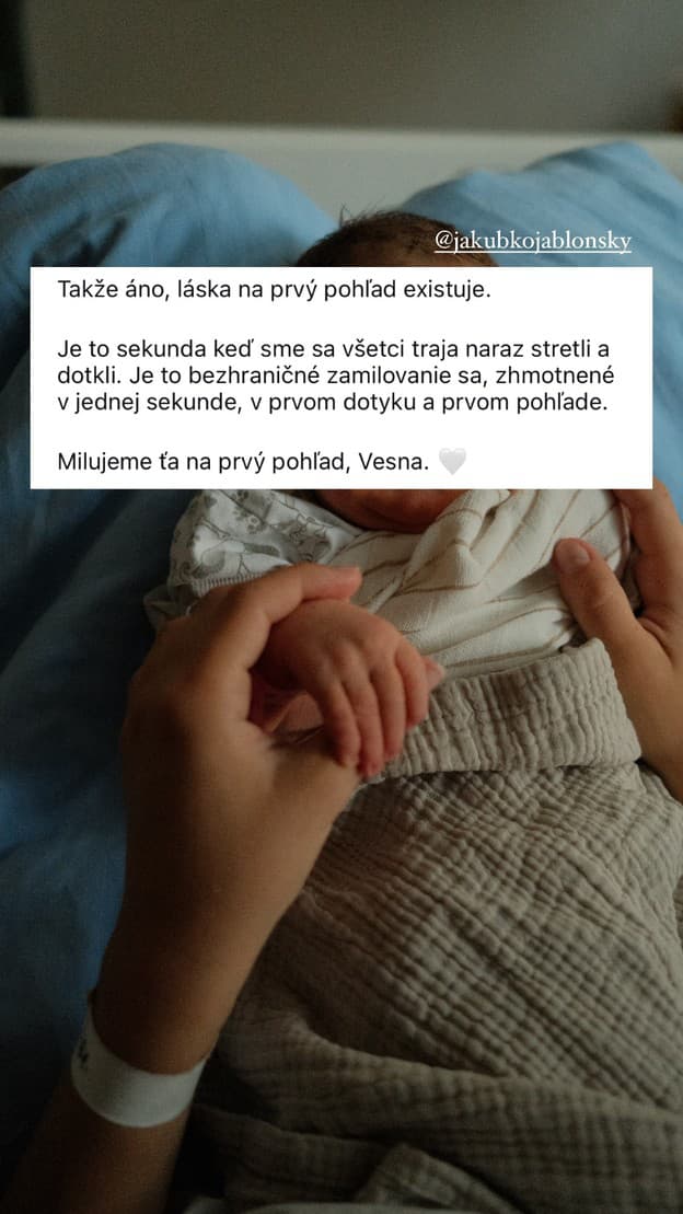 Z OBĽÚBENÝCH HERCOV sú