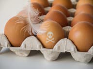 TAKTO zničíte salmonelózu: Pozor na PRÍPRAVU mäsa a vajíčok, BAKTÉRIE nebudú mať šancu