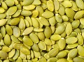Tekvicové semienka obsahujú množstvo zdraviu prospešných látok.
