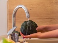 Brokolica je bohatým zdrojom vápnika. Foto: Gettyimages.com