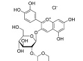 Cyanidín 3-sambubiozid. Zdroj: archív Ivana Šalamona