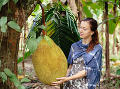 Plod chlebovníka môže mať aj 40-50 kilogramov. (Foto: Gettyimages.com)
