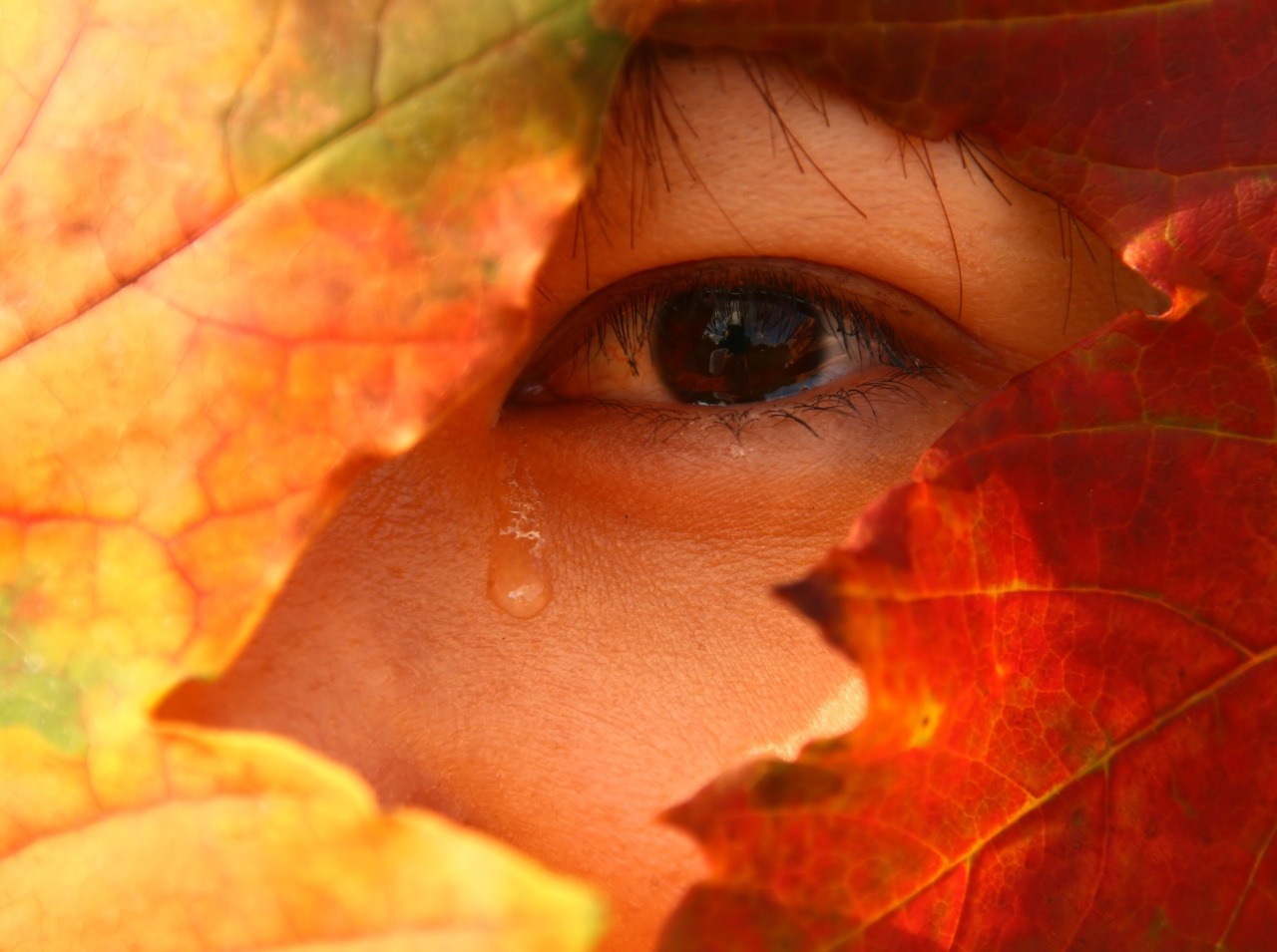 Jesenná depresia postihuje ľudí teraz viac ako obvykle, keďže je škaredé počasie.