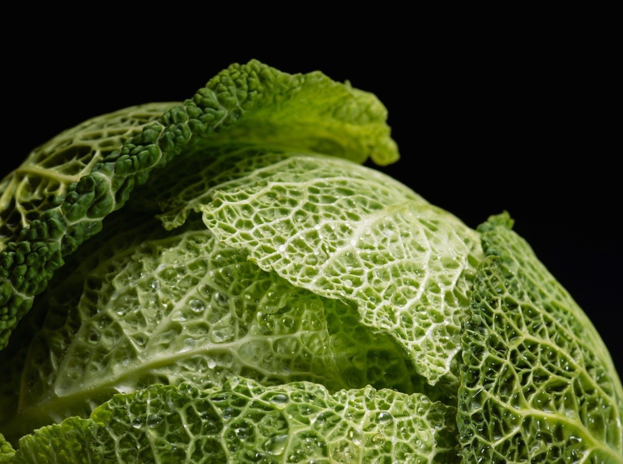 Kapusta je veľmi zdravá zelenina, ktorá bojuje proti rakovine!