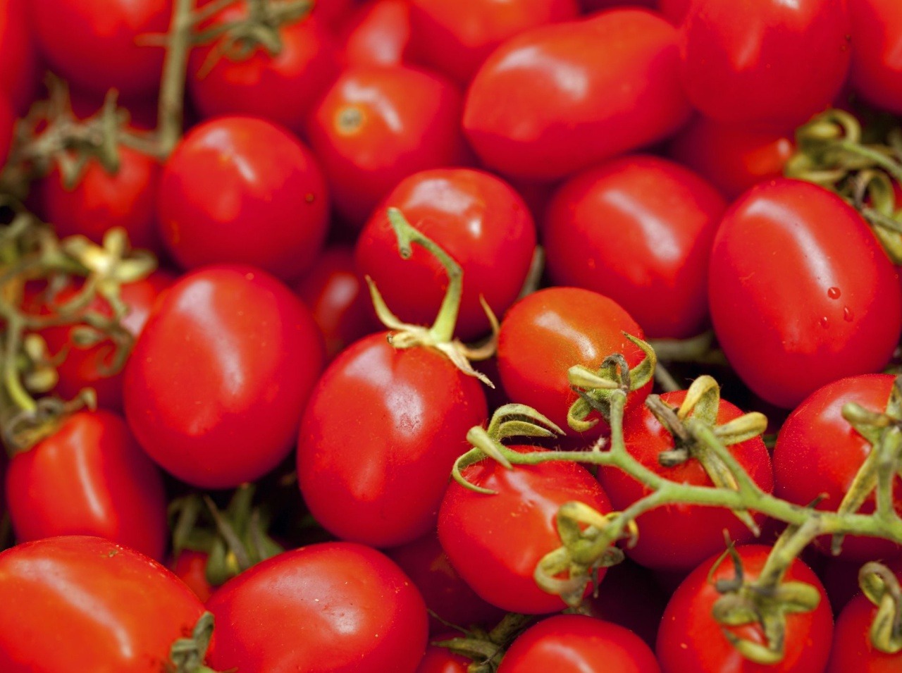 Na Slovensku sa nachádzajú škodlivé cherry paradajky!