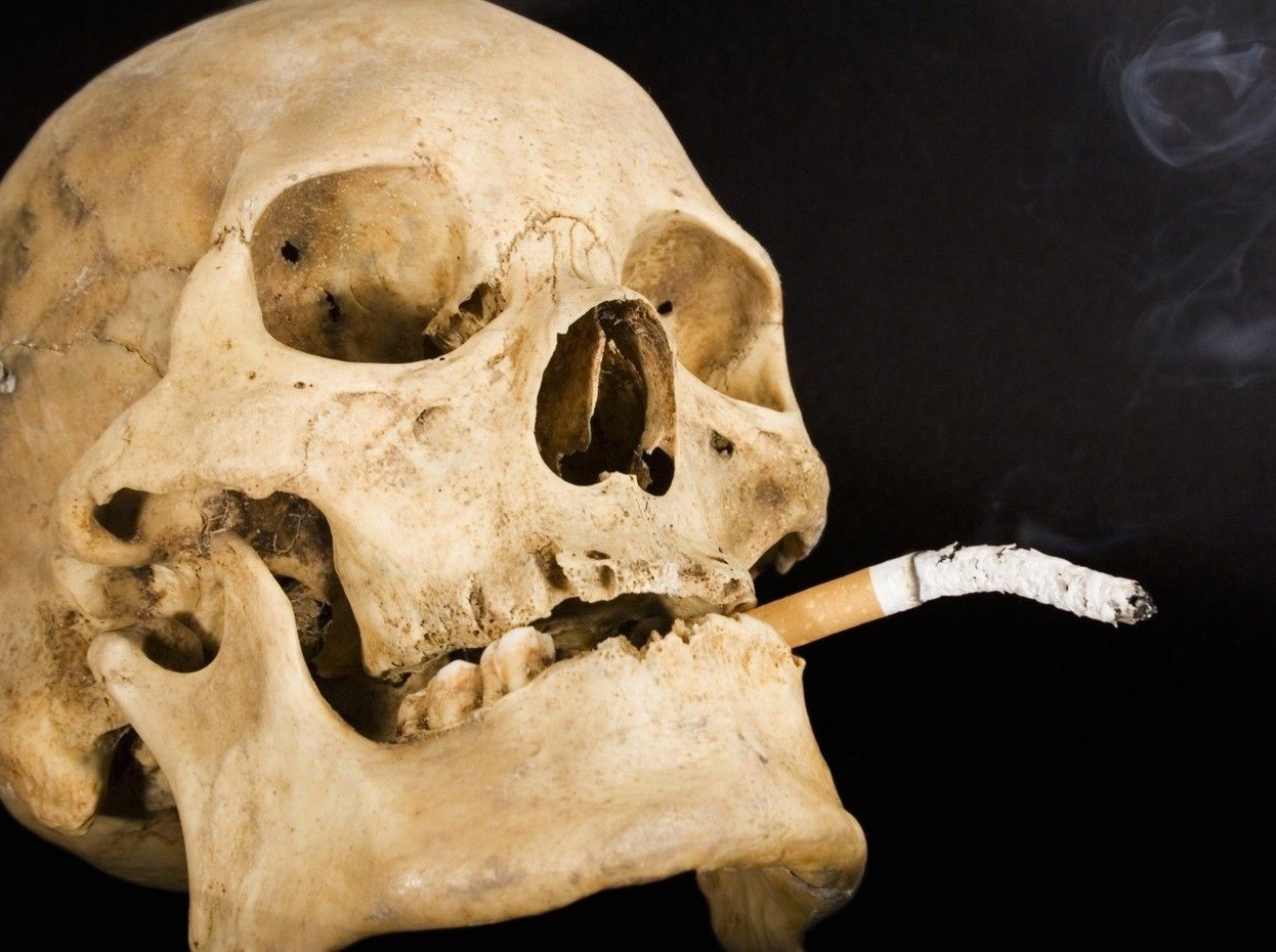 Fajčenie je oveľa smrteľnejšie ako pred 50-timi rokmi. 