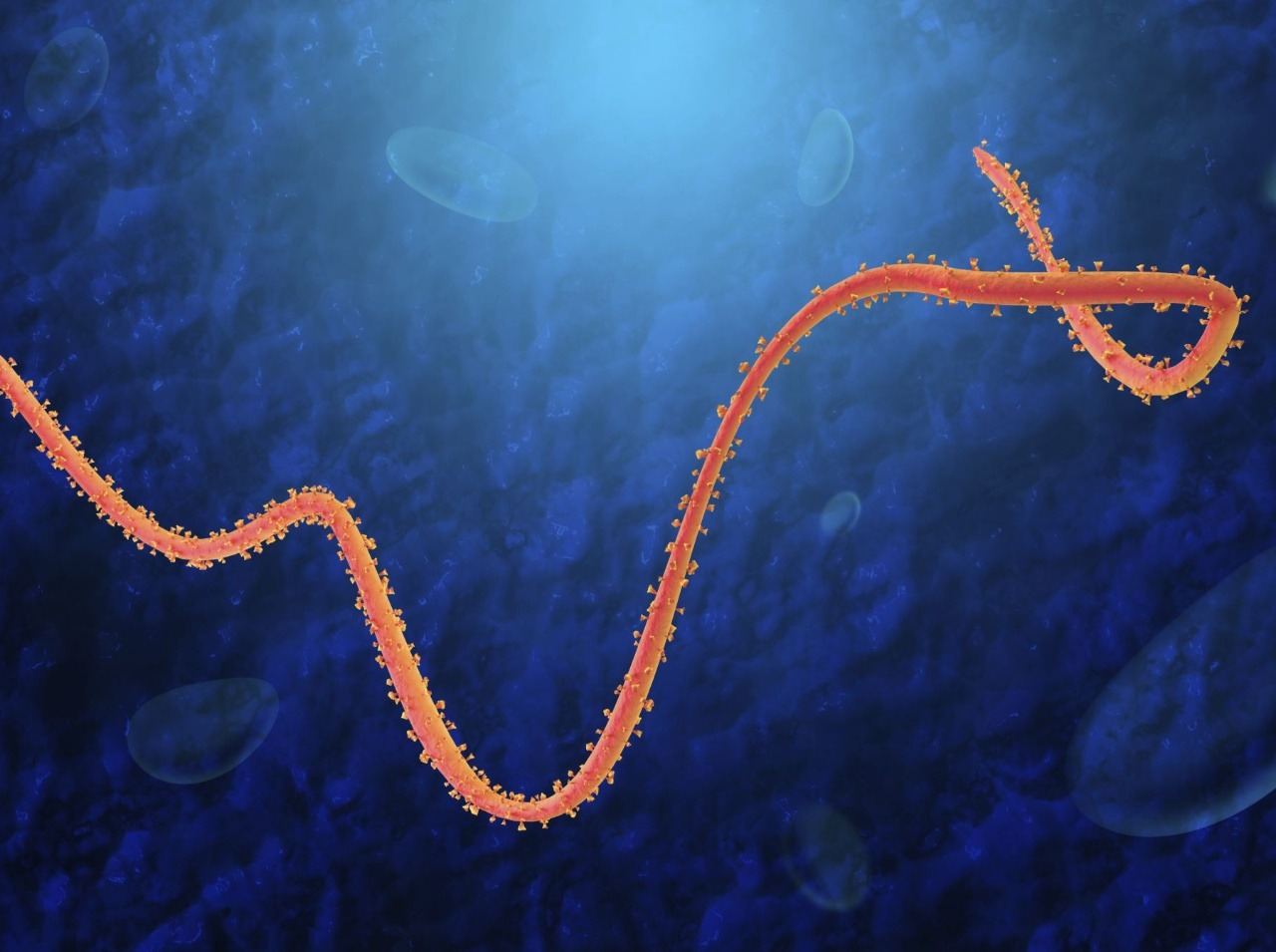 Vírus ebola naďalej ohrozuje celý svet. 