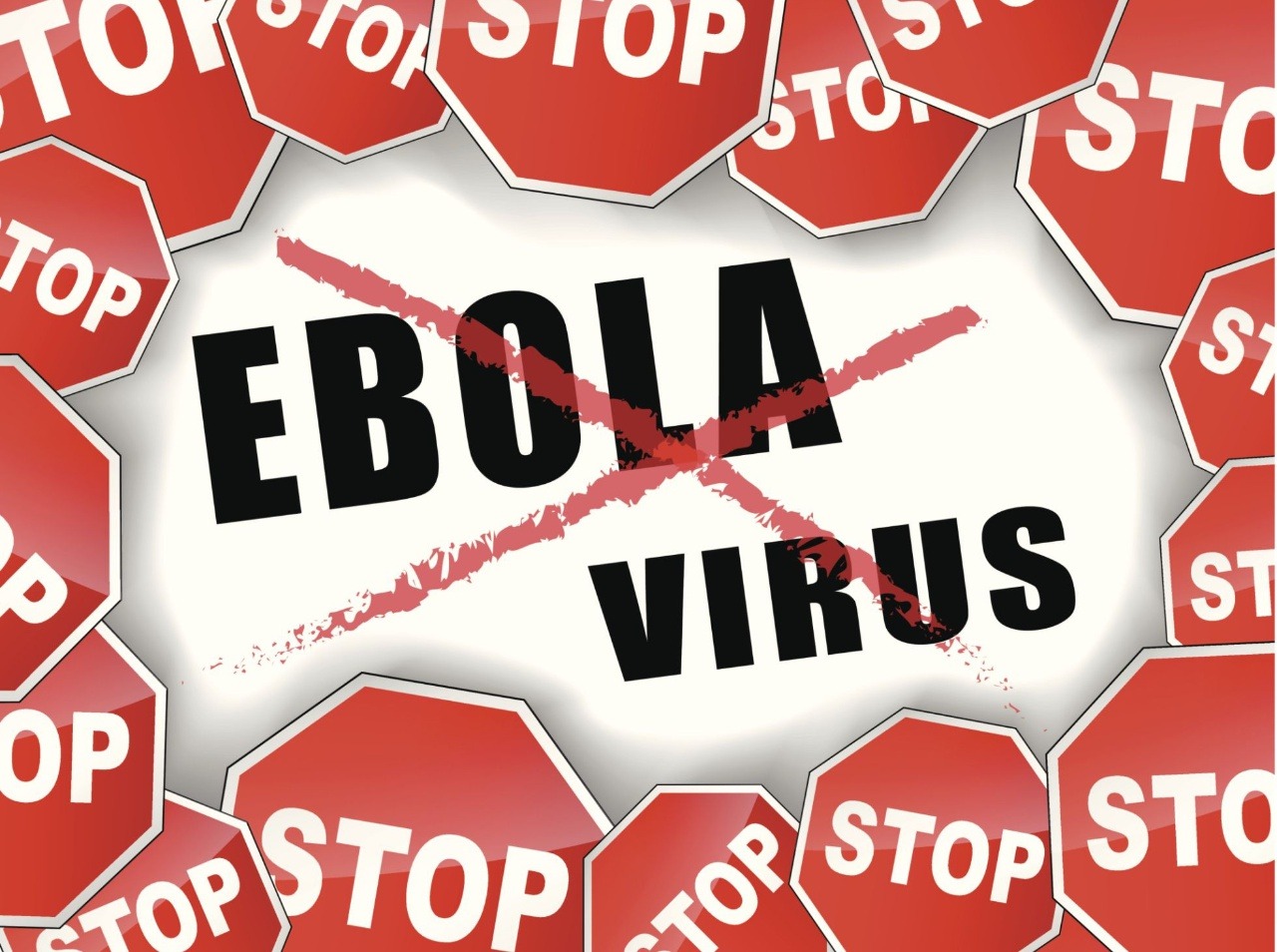 Vírus ebola aj naďalej zúri vo svete. 