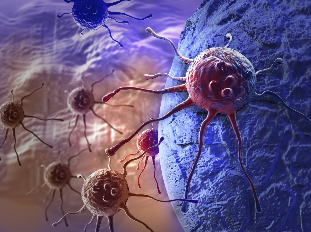 Ako zastaviť bujnenie rakovinových buniek?