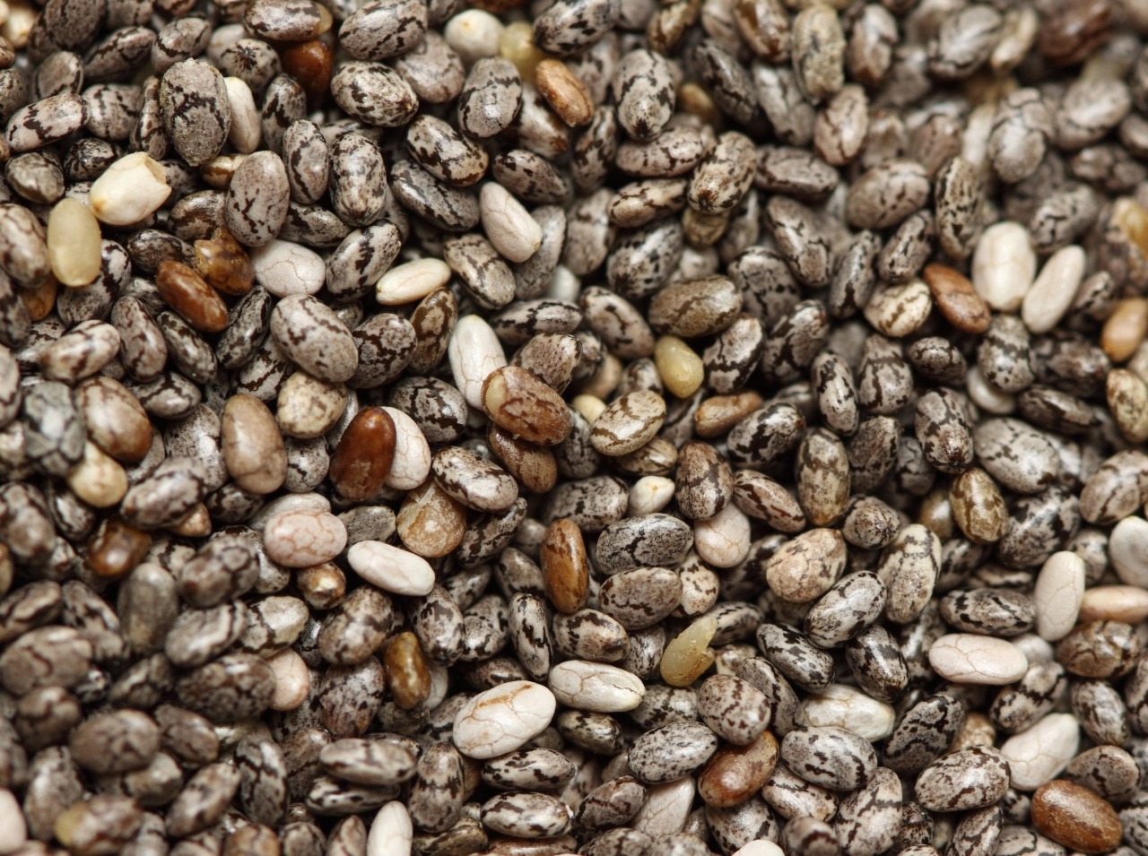 Chia semienka sú zdravé, ak viete, ako sa majú správne konzumovať. 