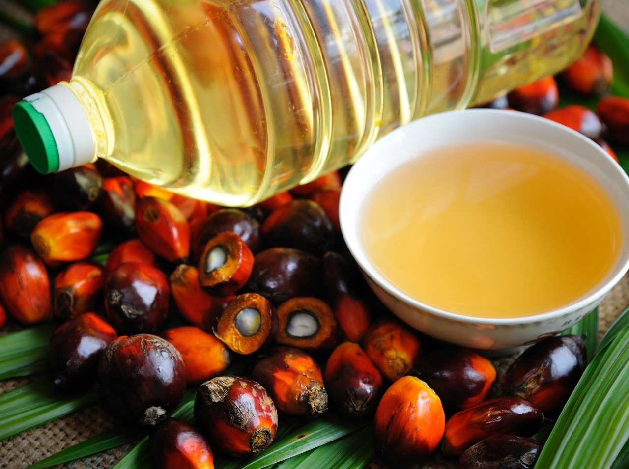 palmový olej 