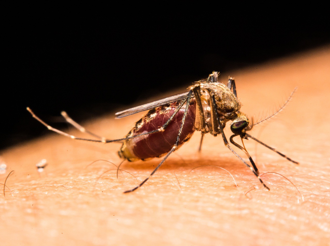 Bojujte proti komárom účinným repelentom!
