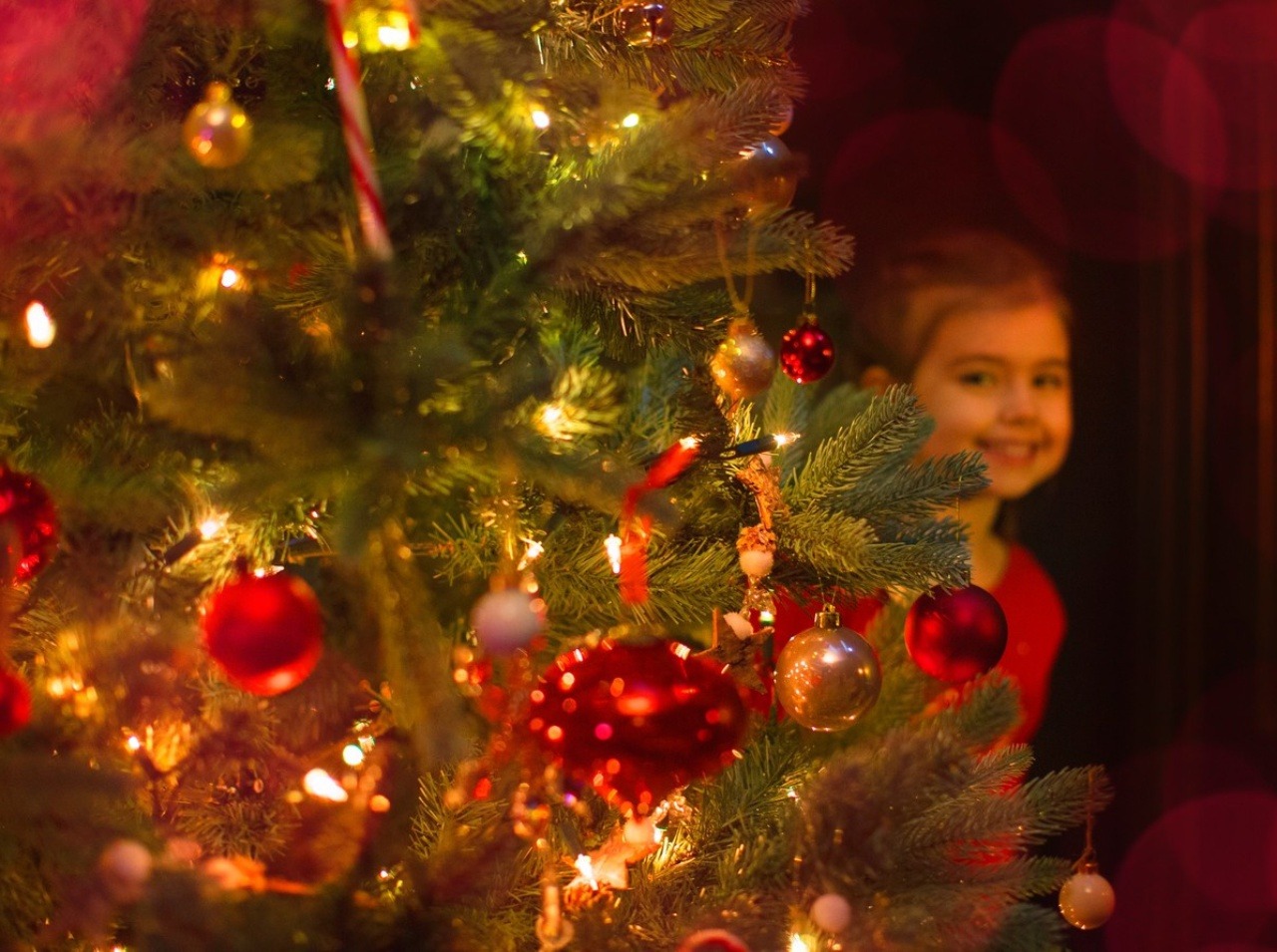 Aj vianočný stromček má podiel na vašej dobrej nálade. 