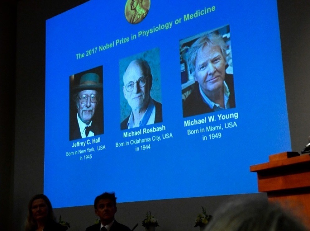 Na veľkoplošnej projekcii trojica amerických vedcov, zľava  Jeffrey C. Hall, Michael Rosbash and Michael W. Young. ktorí získali nobelovu cenu za fyziológiu alebo medicínu za rok 2017 v Štokholme 2. októbra 2017. Cenu dostali za svoje objavy molekulárnych