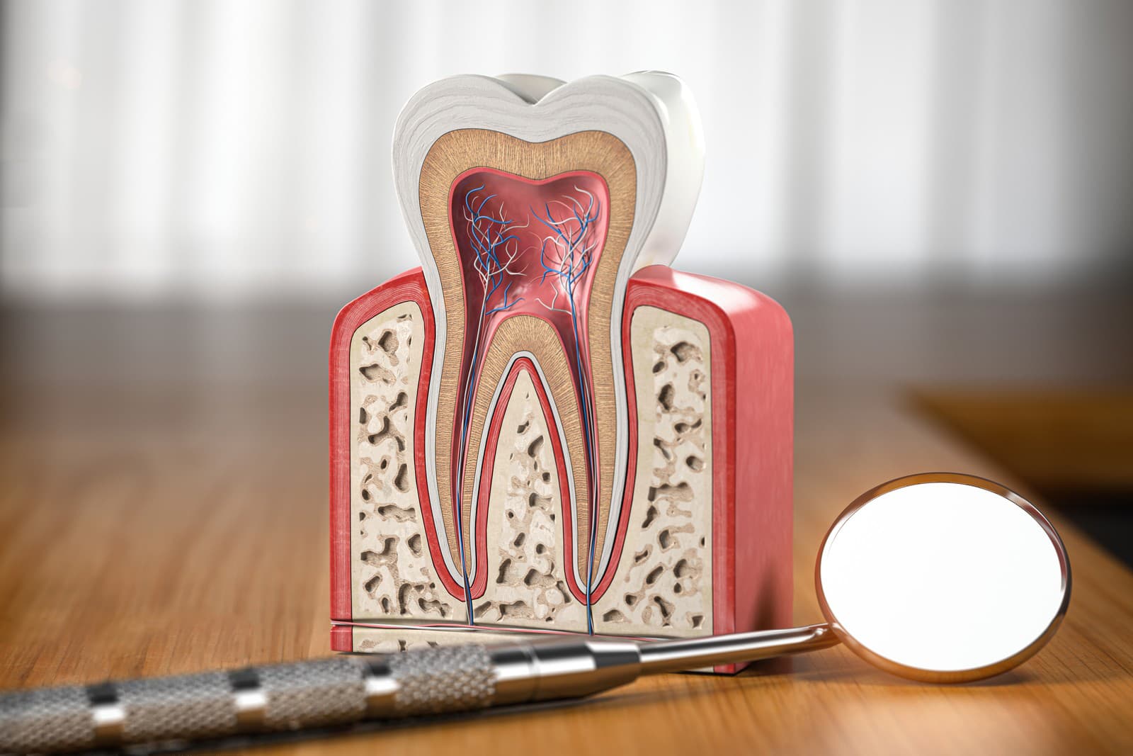 Zubné vrstvy vekom menia farbu a tmavnú.