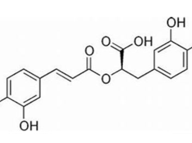 Chemická štruktúra kyseliny rozmarínovej. Foto: archív I. Šalamona