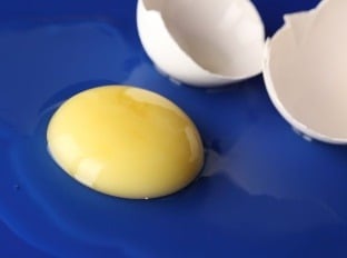 Mnohí odborníci považujú vajcia