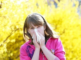 Alergici si od peľu