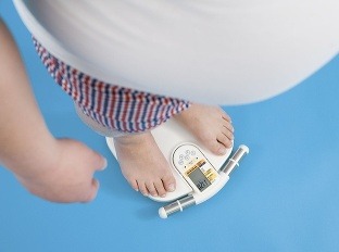 Sú hormóny príčinou obezity?
