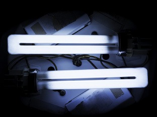 Mýty o škodlivých žiarovkách