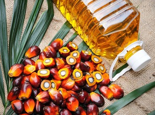 Spôsobuje palmový olej rakovinu?