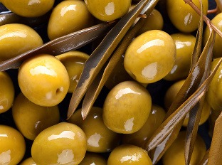 Olivy sú zdravou bombou