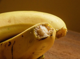 Nevyhadzujte banánovú šupku: TIPY,