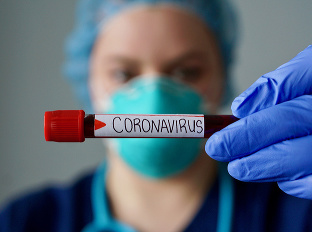 Koronavírus na Slovensku: Prieskum