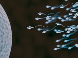 Celosvetový pokles spermií: Mikroplasty