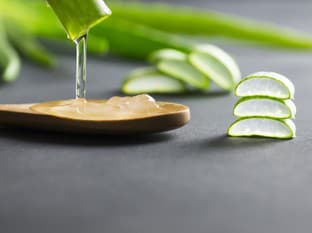 Ako používať aloe vera