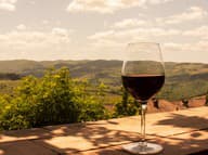 Krajšia postava vďaka červenému vínu? Toto by ste o ňom mali vedieť