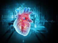 Chráňte svoje srdce: Až 90-percentám kardiovaskulárnych ochorení sa dá predísť