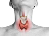 Chorá štítna žľaza potrebuje lieky, no nakopnú ju aj niektoré potraviny: Spoznajte, ktoré!