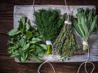 Zdravé srdce, trávenie a vitamínová bomba: Tieto bylinky nesmú chýbať vo vašej jarnej kuchyni