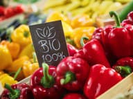 Najväčšie mýty o biopotravinách: Sú naozaj zdravšie alebo ide len o marketing?