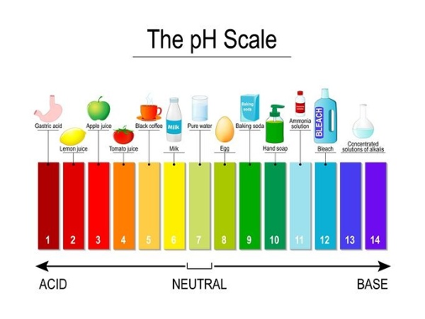 pH škála (príklady potravín a produktov s kyslým a zásaditým pH). Foto: Gettyimages.com